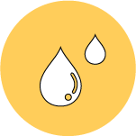 Skin Moisture